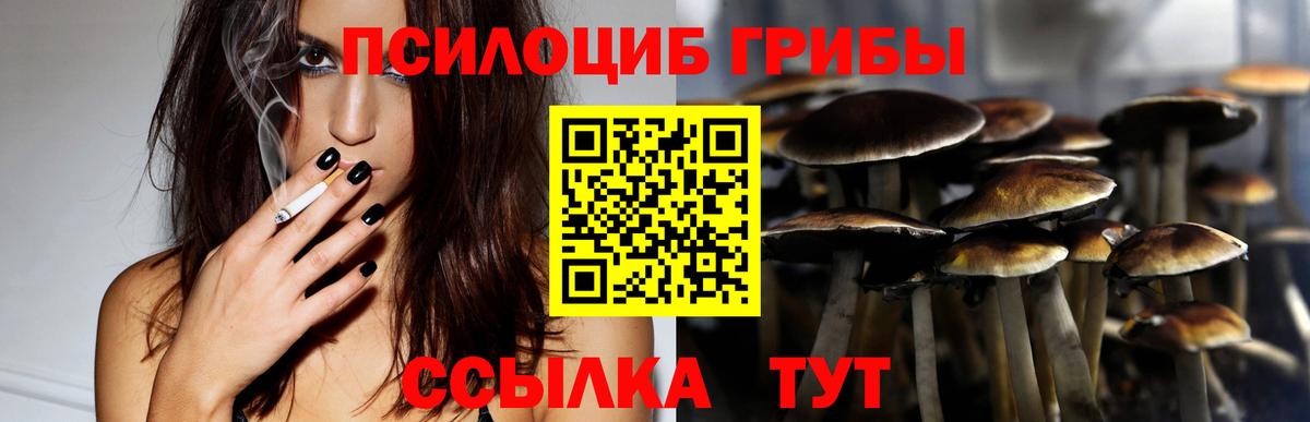 Галлюциногенные грибы прущие грибы Артём